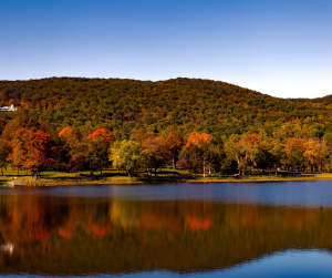 State Park | Alexandria, VA