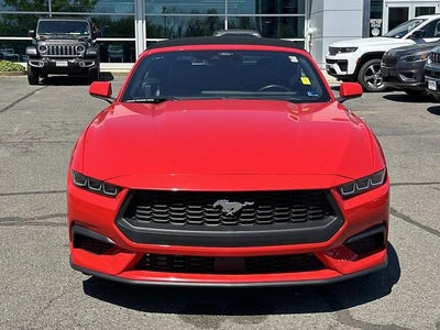 2024 Ford Mustang EcoBoost Convertible