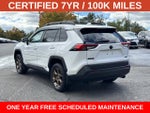 2023 Toyota RAV4 Hybrid Woodland Edition