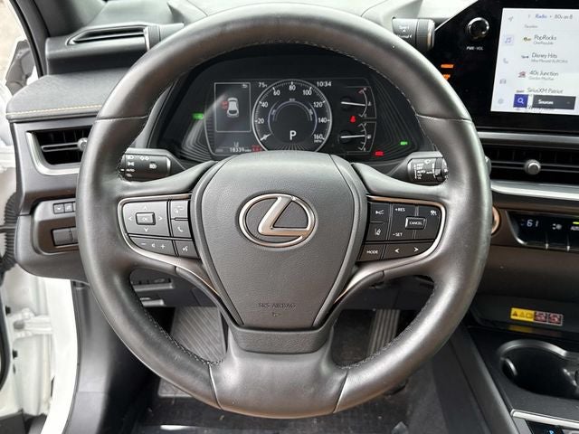 2024 Lexus UX 250h Premium