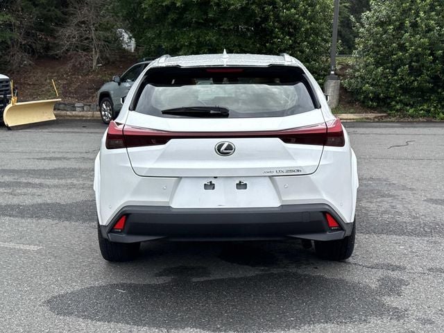 2024 Lexus UX 250h Premium