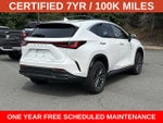 2024 Lexus NX 350h Premium