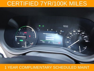 2025 Toyota Sienna XLE 8 Passenger