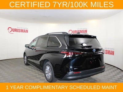 2025 Toyota Sienna XLE 8 Passenger