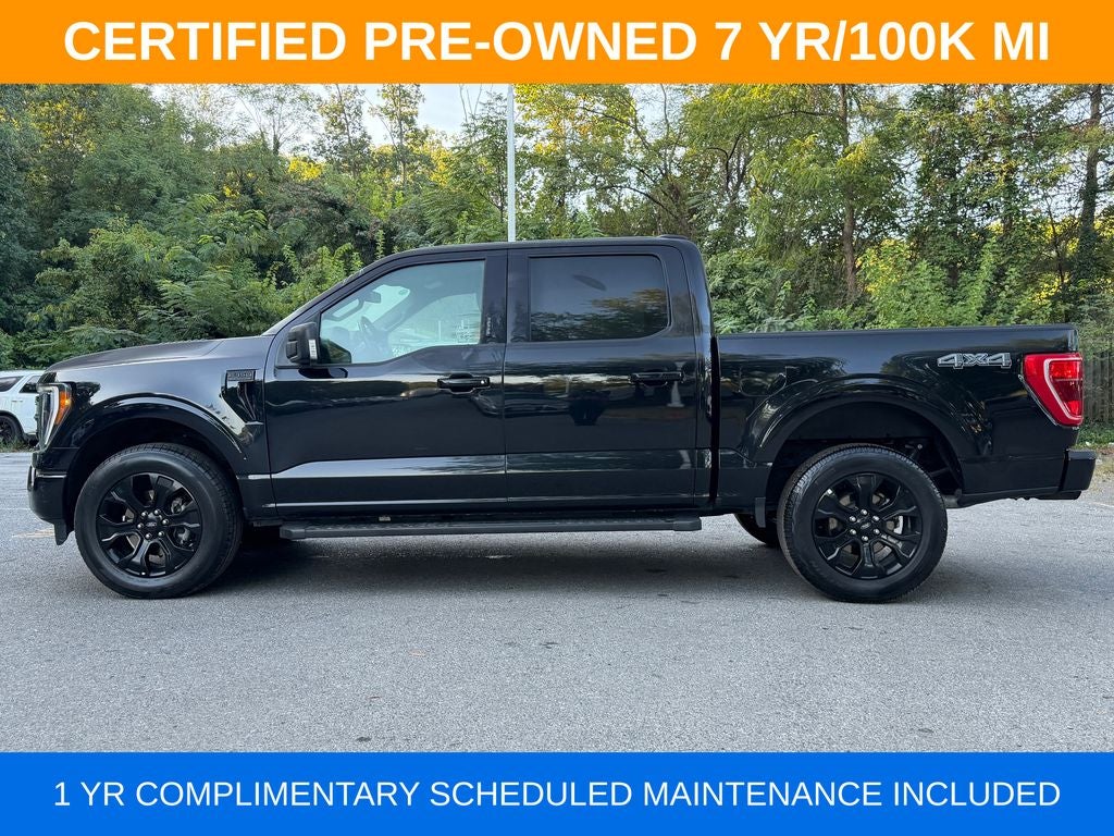 2023 Ford F-150 XLT