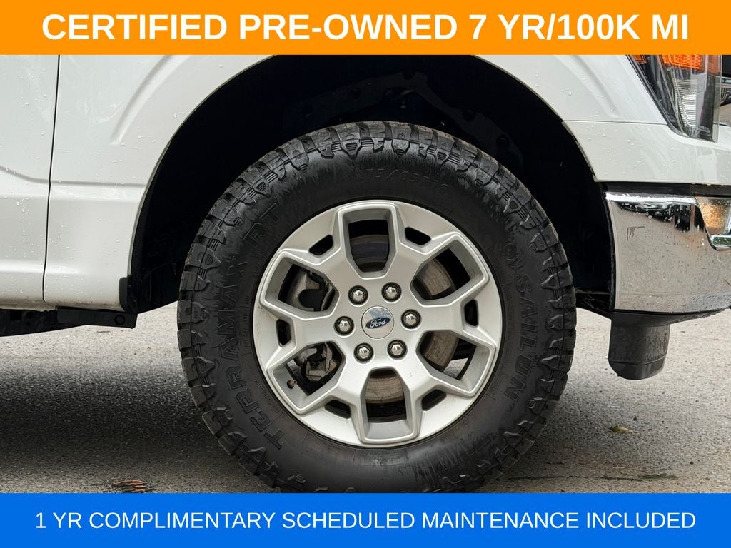 2023 Ford F-150 XLT