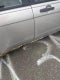 2011 Ford Focus SE