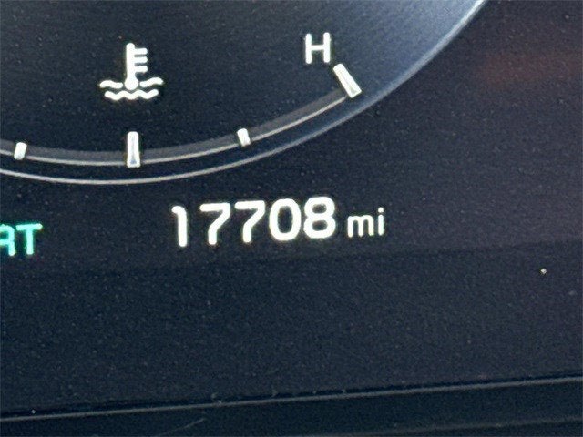 2024 Kia Carnival SX